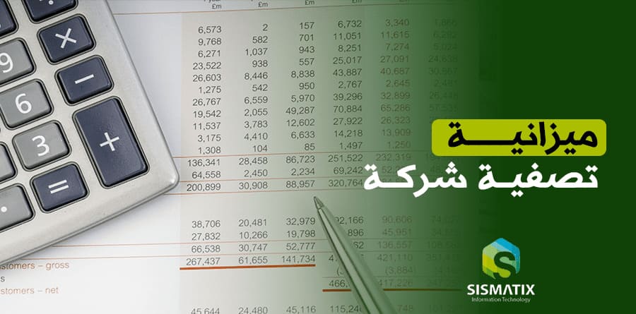 نموذج ميزانية تصفية شركة